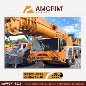 DEMAG AC100 100TON (2)