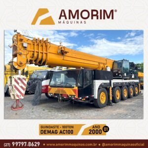 DEMAG AC100 100TON (1)