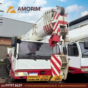 ZOOMLION QY30V
